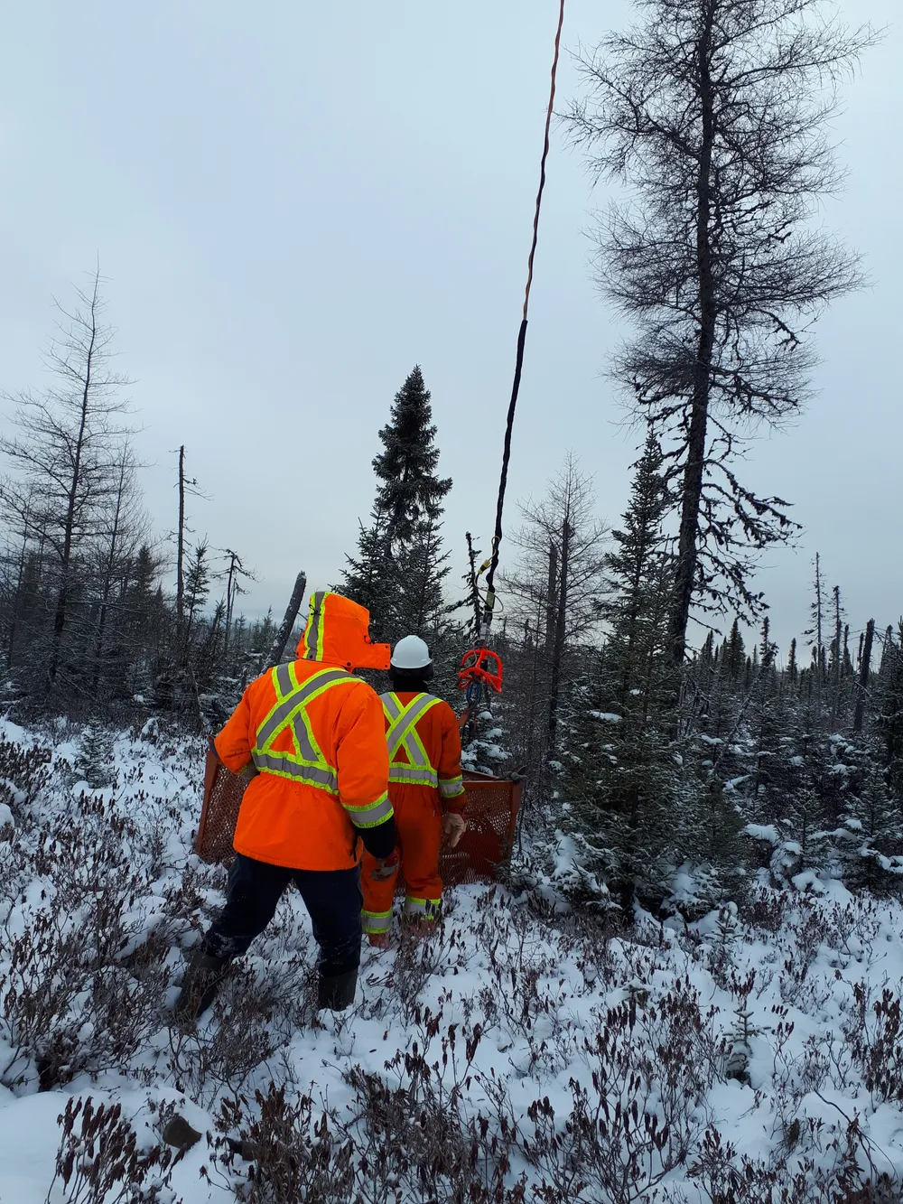 Two exploration workers in orange hi-vis in a snowy spruce forest.