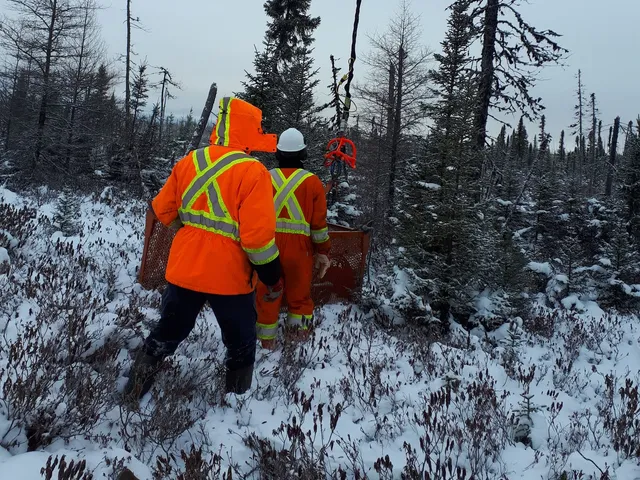 Two exploration workers in orange hi-vis in a snowy spruce forest.
