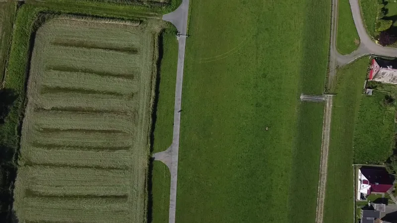 Top-down drone view of farm fields with rows of cut grass.
