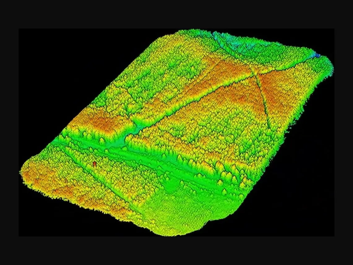 The same forest point cloud, coloured by height from green to red.